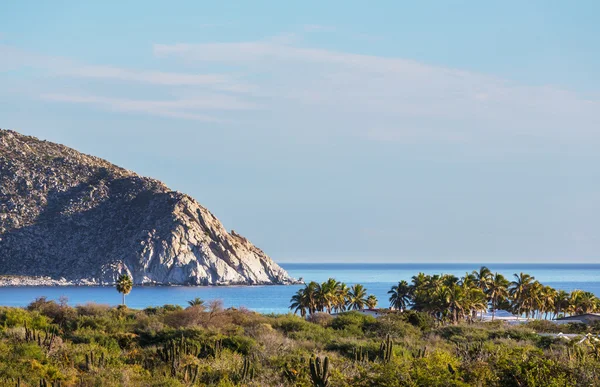 Baja California — Stockfoto