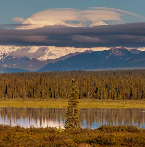 Mckinley. — Fotografia de Stock