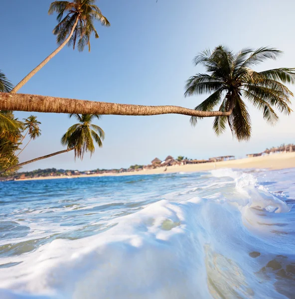 Beach — Stock Photo, Image