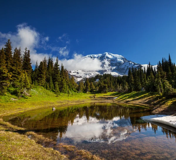 Mt.Rainier — стокове фото