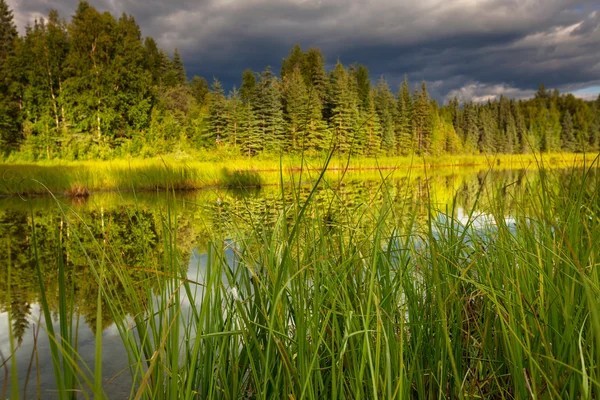 Jezero na Aljašce — Stock fotografie