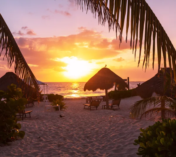 Spiaggia tropicale — Foto Stock