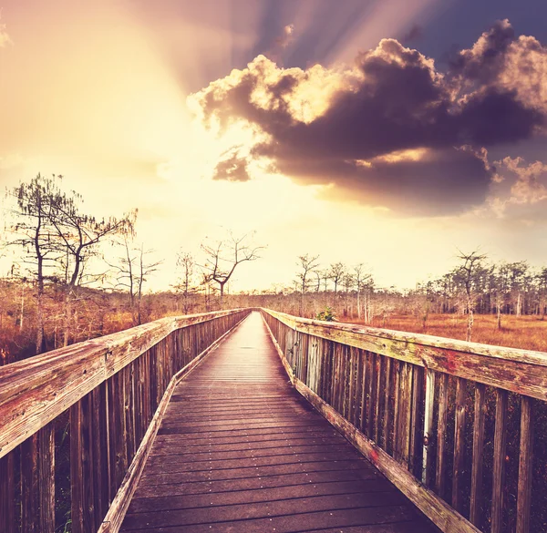 Boardwalk in swamp — Stock Photo, Image