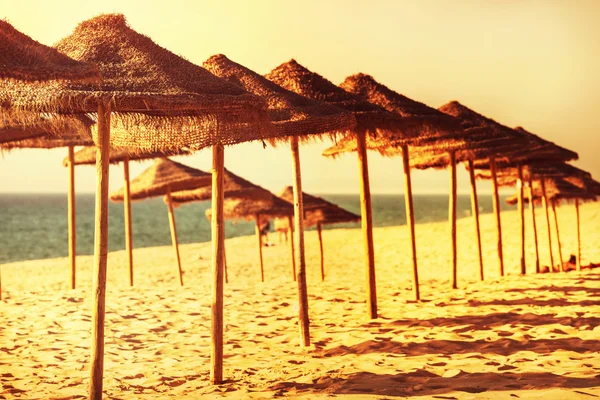 Сонячний пляж — стокове фото