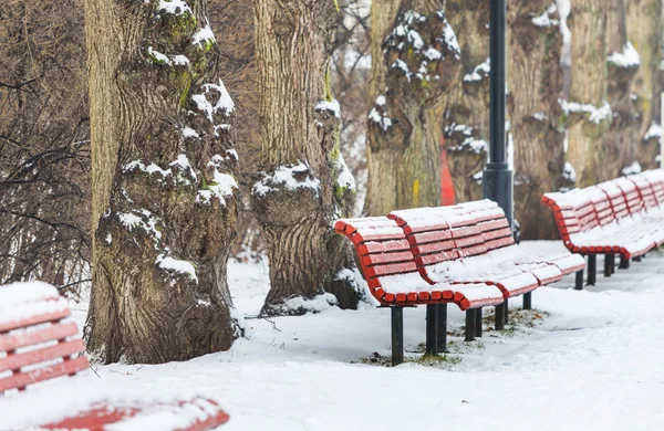 Kışın park — Stok fotoğraf