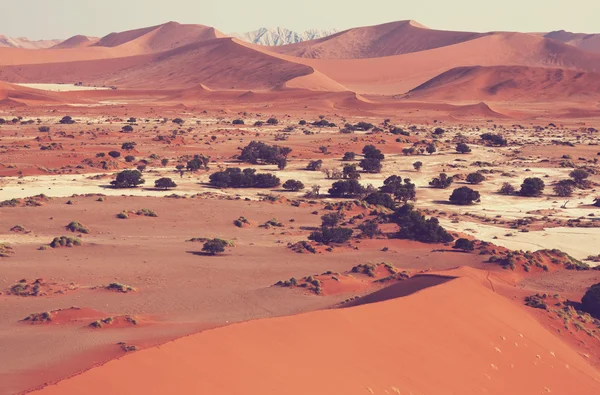 Dode vallei — Stockfoto