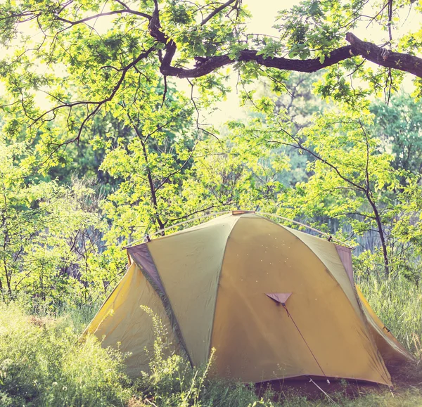 Tent in forest — Stock Photo, Image