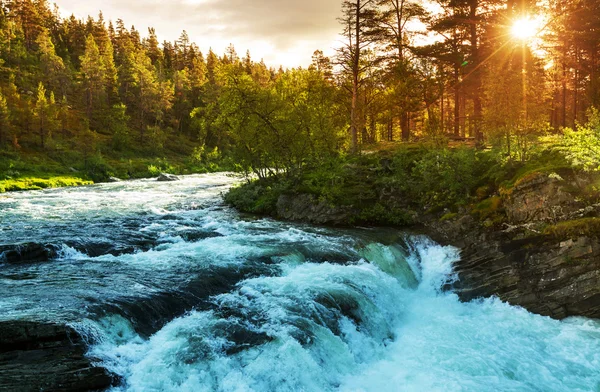 ノルウェーの川は — ストック写真