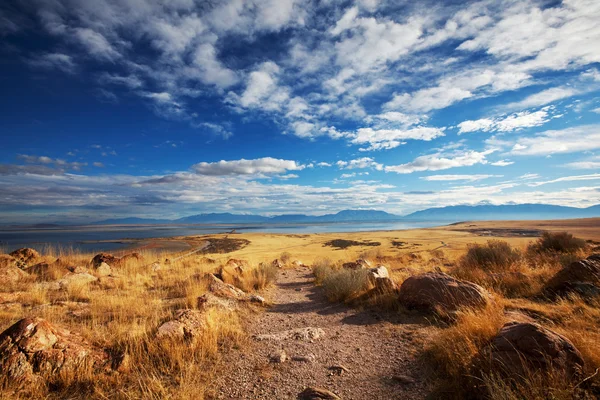 Prairie — Stock Photo, Image