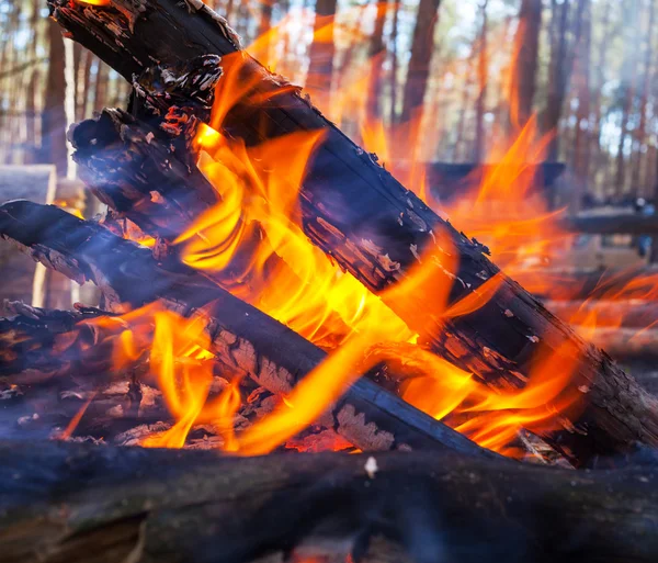 Lägereld — Stockfoto