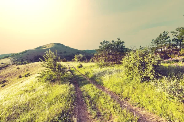 Route dans la prairie — Photo