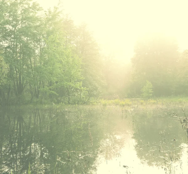 Mlha na jezeře — Stock fotografie