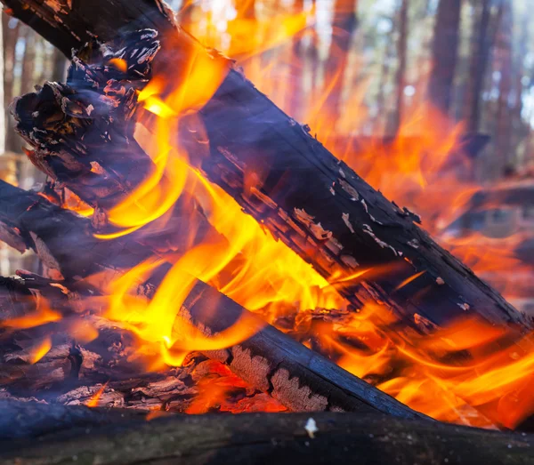 Lagerfeuer — Stockfoto