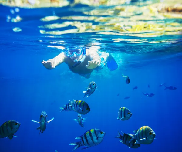 Snorkelen man — Stockfoto