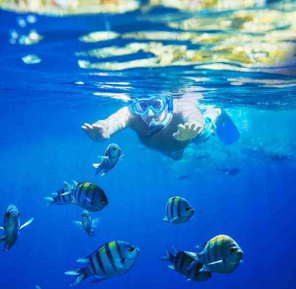 Snorkeling — Foto Stock