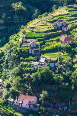 Madeira peyzaj
