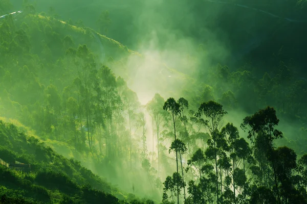 Brouillard dans les montagnes — Photo