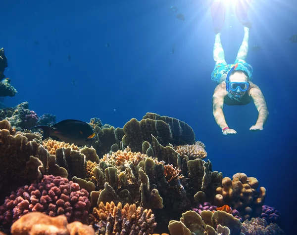 Snorkel — Stock Photo, Image