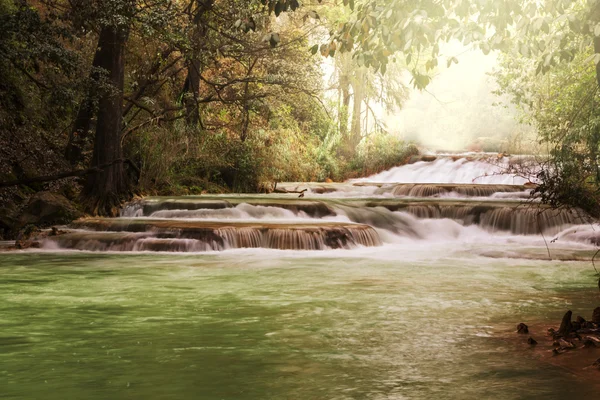 Waterfall in Mexico — Stock Photo, Image