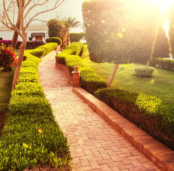 Garden — Stock Photo, Image