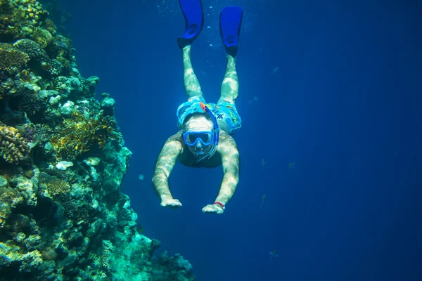 Snorkel — Fotografia de Stock