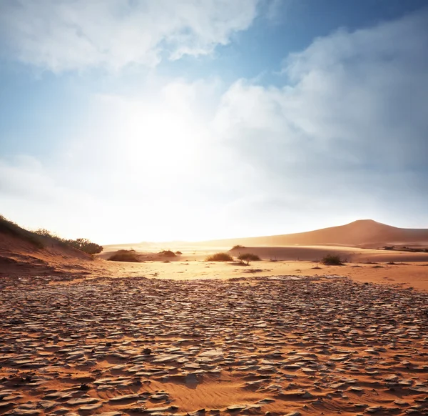 Deserto — Fotografia de Stock