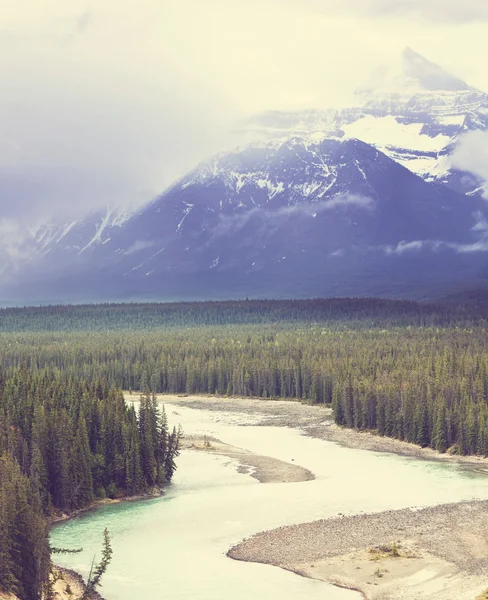 Canadian mountains — Stock Photo, Image