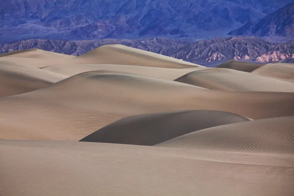 Desert — Stock Photo, Image