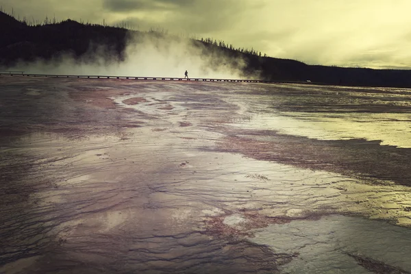 Yellowstone. — Fotografia de Stock