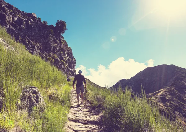 Caminhada na Madeira — Fotografia de Stock