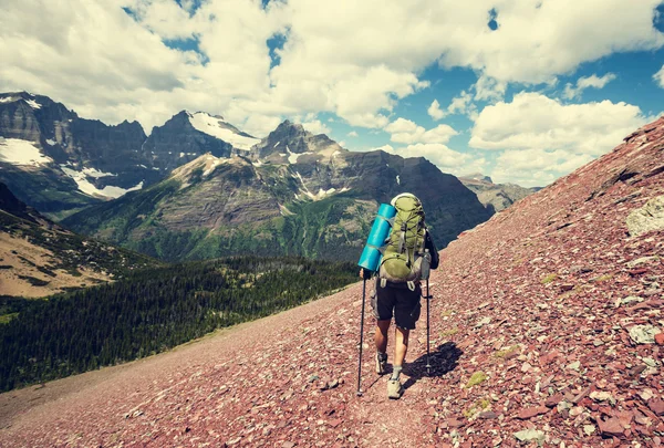 Hike in Glacier Stock Image