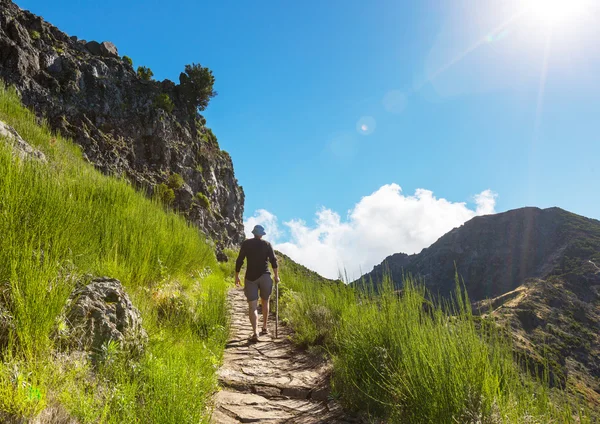 Escursione a Madeira — Foto Stock