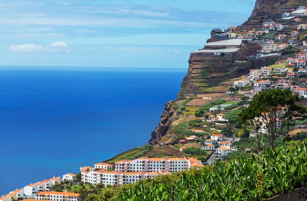 Madeira — Stockfoto