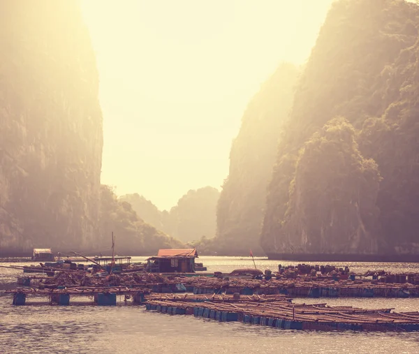 Halong — Stockfoto