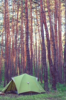 Ormanda çadır.
