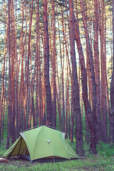 Tält i skogen — Stockfoto