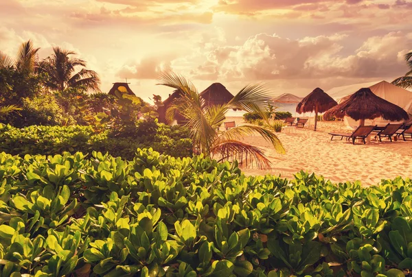 Spiaggia tropicale — Foto Stock