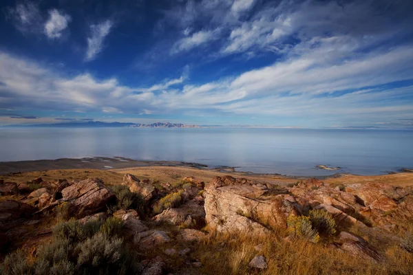 Prairie — Stock Photo, Image