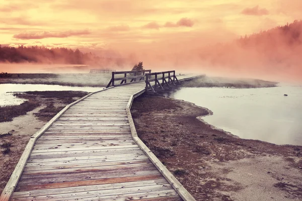 Yellowstone. — Fotografia de Stock