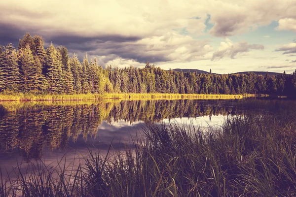 Jezioro na Alasce — Zdjęcie stockowe