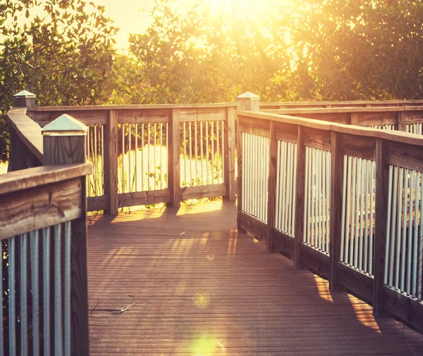 Boardwalk in swamp — Stock Photo, Image