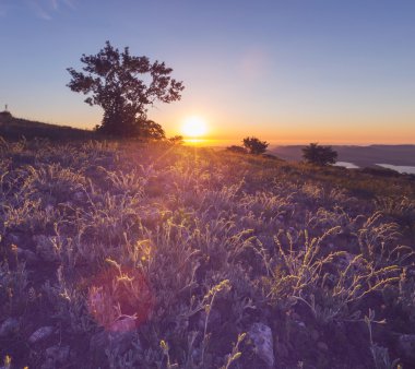 çayır günbatımı üzerinde