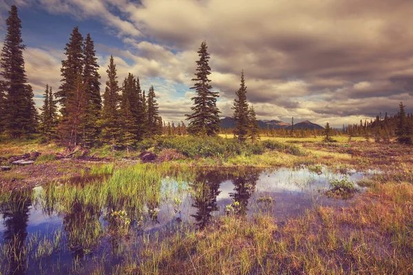 Lago no Alasca — Fotografia de Stock