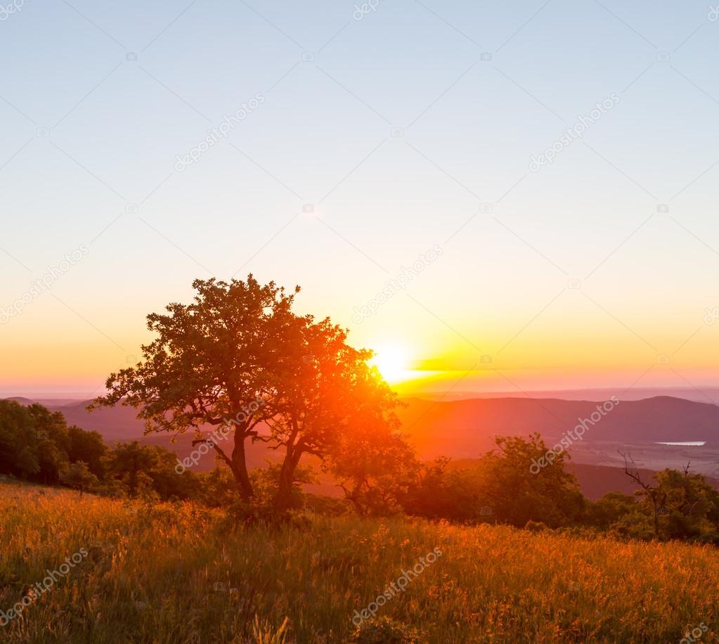 Meadow on sunset