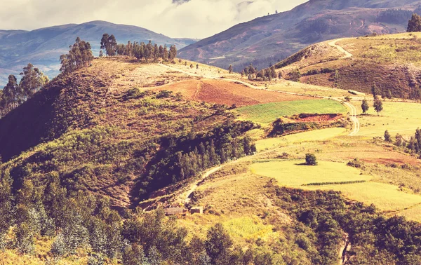 Campos en Bolivia — Foto de Stock