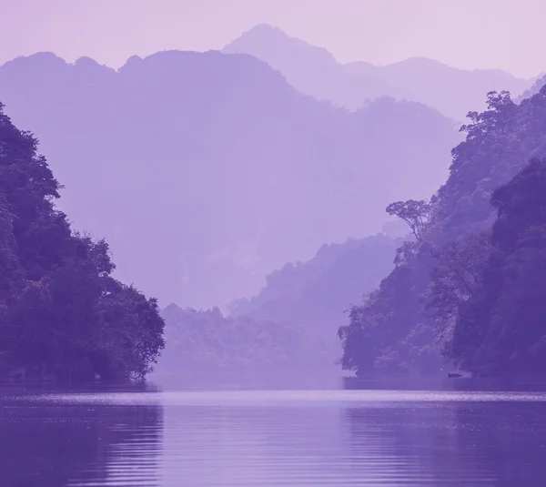 Dzsungel-folyó — Stock Fotó