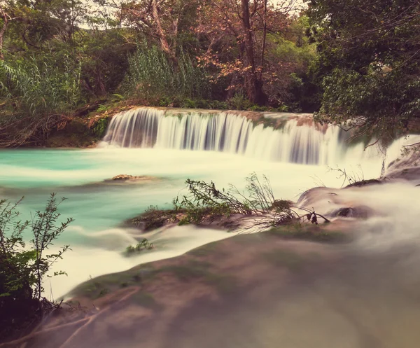 Cascata in Messico — Foto Stock