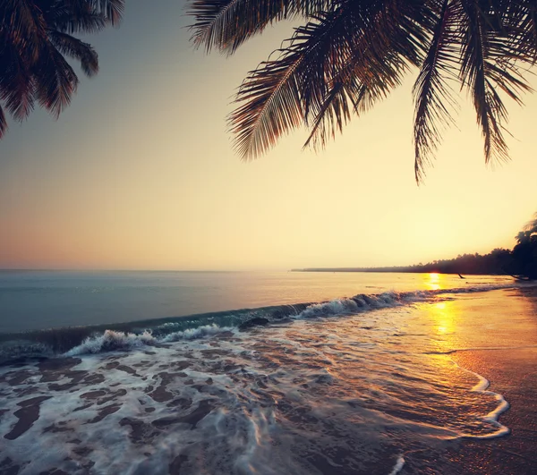 Spiaggia tropicale — Foto Stock