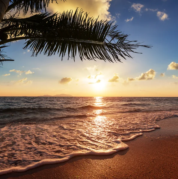 Praia tropical — Fotografia de Stock