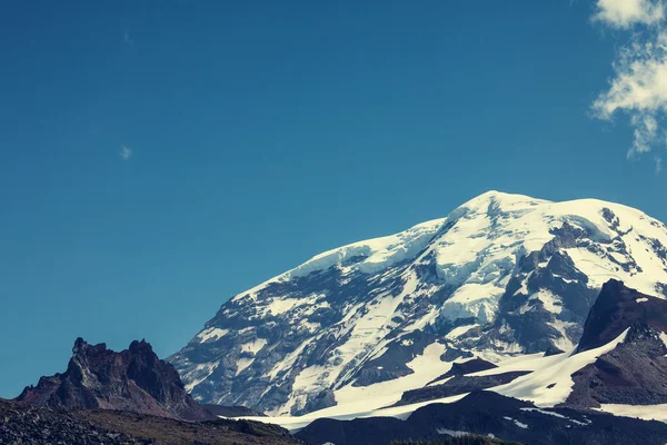 Mt.Rainier — 图库照片